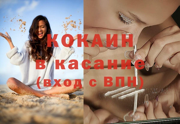 дмт Арсеньев