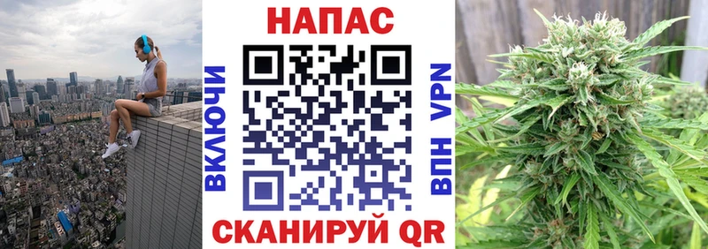 Канабис SATIVA & INDICA  Купить закладки  Тара 